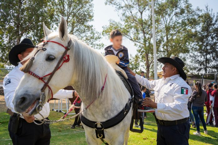 seguridad9