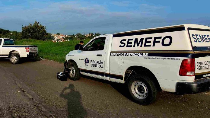 semefo-compressed