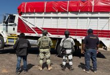 En cateo realizado en Uruapan, recupera FGE vehículo robado con violencia en el estado de Jalisco