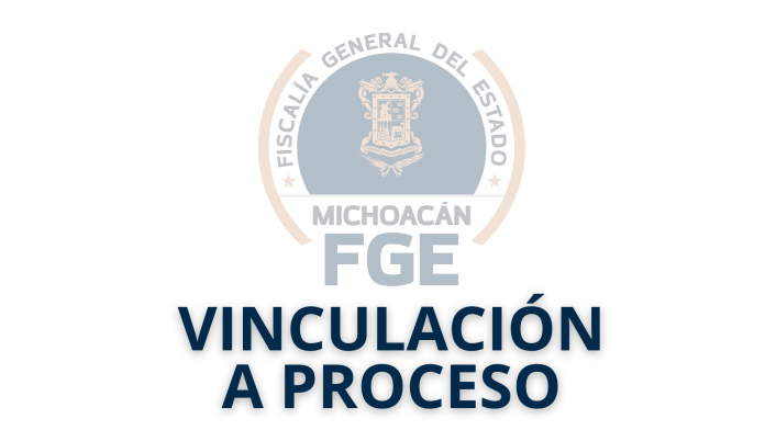 vinculacion a proceso MILY LE