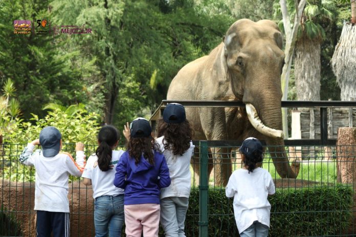 zoo